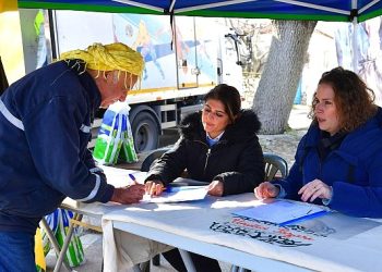 İzmir’de zeytinde hastalık bitti randıman arttı