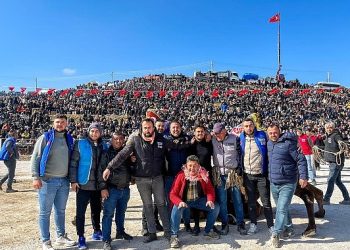 Kınık’ta bu sene 34’üncüsü düzenlenen Klâsik Deve Güreşleri büyük ilgi gördü