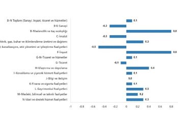 TÜİK: Fiyatlı çalışan sayısı yıllık %1,7 arttı