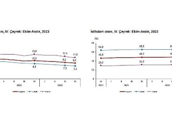 TÜİK: Mevsim tesirinden arındırılmış işsizlik oranı %8,8 düzeyinde gerçekleşti
