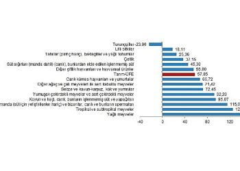 TÜİK: Tarım eserleri üretici fiyat endeksi (Tarım-ÜFE) yıllık %57,85, aylık %3,85 arttı