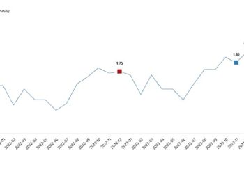 TÜİK: Tavuk eti üretimi 200 bin 333 ton, tavuk yumurtası üretimi 1,86 milyar adet olarak gerçekleşti