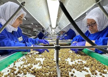 Türkiye organik eser ihracatında 1 milyar dolar sonunu aştı yeni ihracat amacı 2 milyar dolar