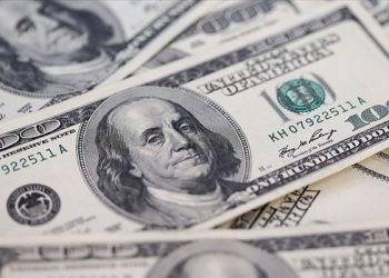 Ekonomistlerin yıl sonu dolar tahmini 40 TL’yi geçti