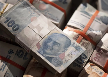 TL mevduatı azalan yerli dövizde kaldı