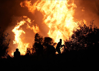 “İzmir’deki yangınlara 596 araç ve 2965 personel müdahale ediyor”