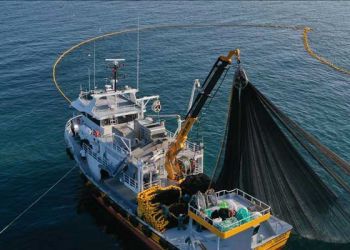 Su Ürünleri Av Sezonu’nun açılışı yarın İstanbul’da yapılacak