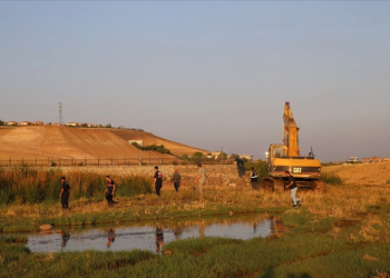 Narin soruşturmasında yeni gözaltı!