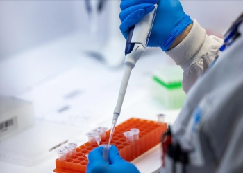 Gana’da bu yıl ilk kez M çiçeği vakası görüldü