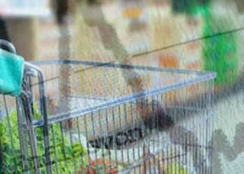 Sıcak Haber: TÜİK, enflasyon verilerini piyasa ile paylaştı