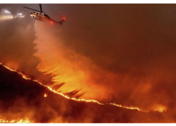 ABD’de yangının bilançosu artıyor: 11 kişi yaşamını yitirdi