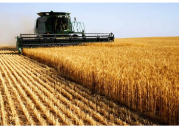 Tarım sektöründen ihracat rekoru