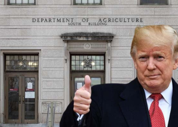 ABD ile Çin’den ‘tarife’ görüşmesi