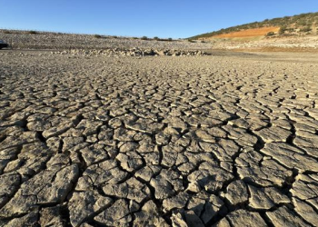 Ekonomiler için büyük tehlike kuraklık!