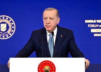Erdoğan: Doğalgaz almak bakkaldan gazoz almaya benzemez