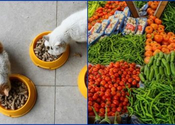 Kasımda fiyatı en çok artan ve azalan ürünler belli oldu