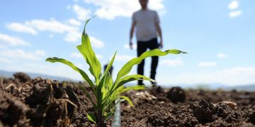 Gübre ve mazotta neler oluyor?