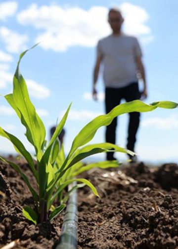 Gübre ve mazotta neler oluyor?